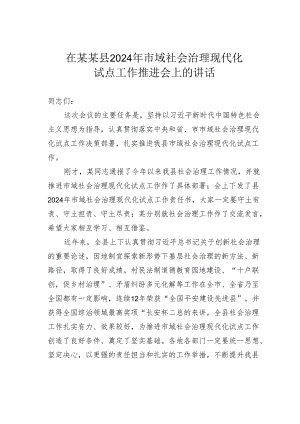 在某某县2024年市域社会治理现代化试点工作推进会上的讲话.docx