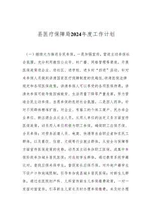 县医疗保障局2024年度工作计划.docx