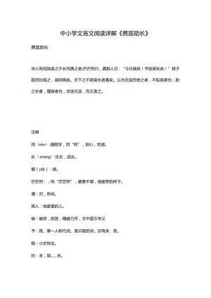 中小学文言文阅读详解《揠苗助长》.docx