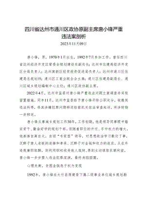 案例剖析：四川省达州市通川区政协原副主席唐小锋严重违法案剖析.docx