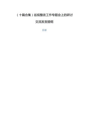 （十篇合集）巡视整改工作专题会上的研讨交流发言提纲.docx