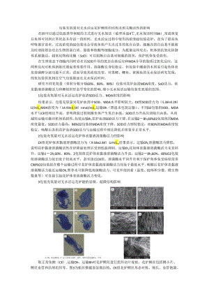 包装充氧量对无水活运花鲈鳃组织结构及相关酶活性的影响.docx