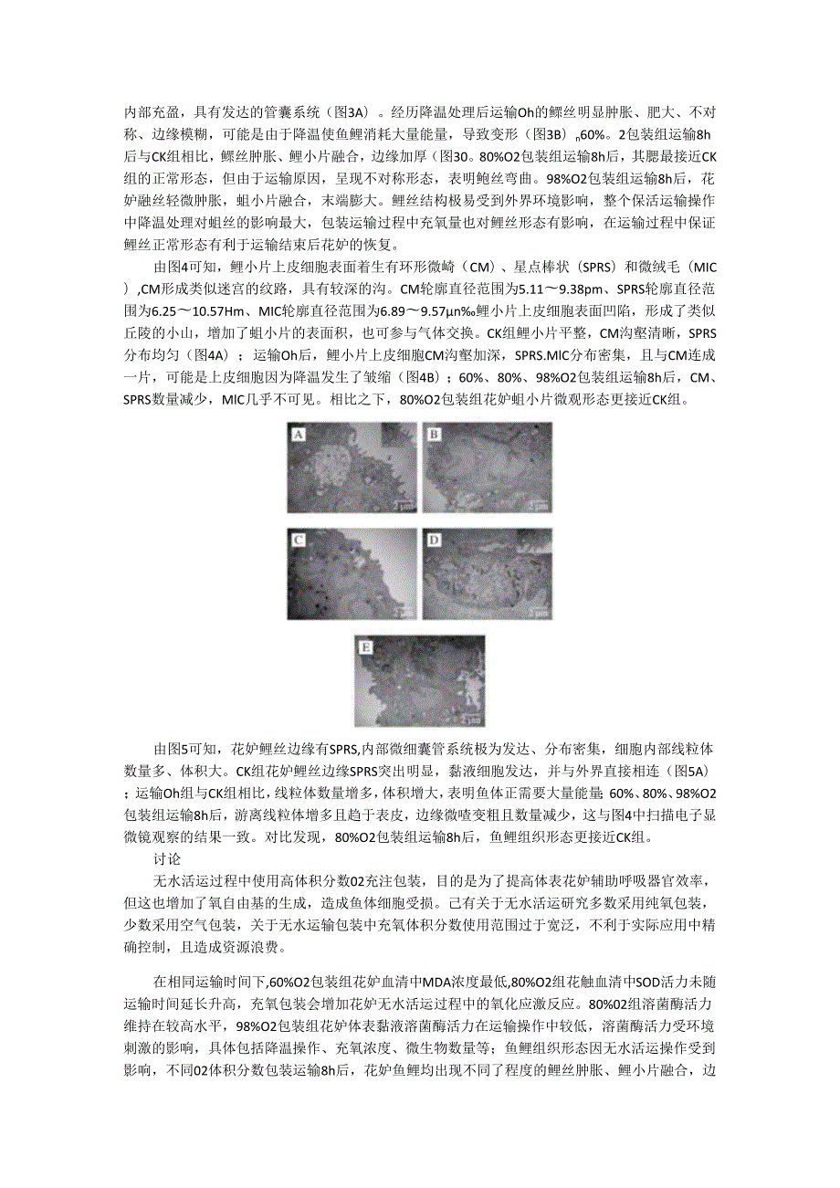 包装充氧量对无水活运花鲈鳃组织结构及相关酶活性的影响.docx_第2页