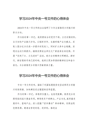 驻村书记学习2024年中央一号文件的心得体会23篇.docx