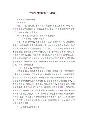 专项整治自查报告（35篇）.docx