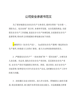 公司安全承诺书范文.docx