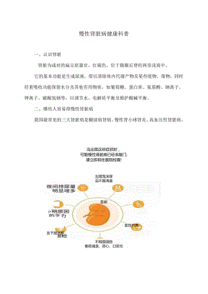 慢性肾脏病健康科普（2024年）.docx