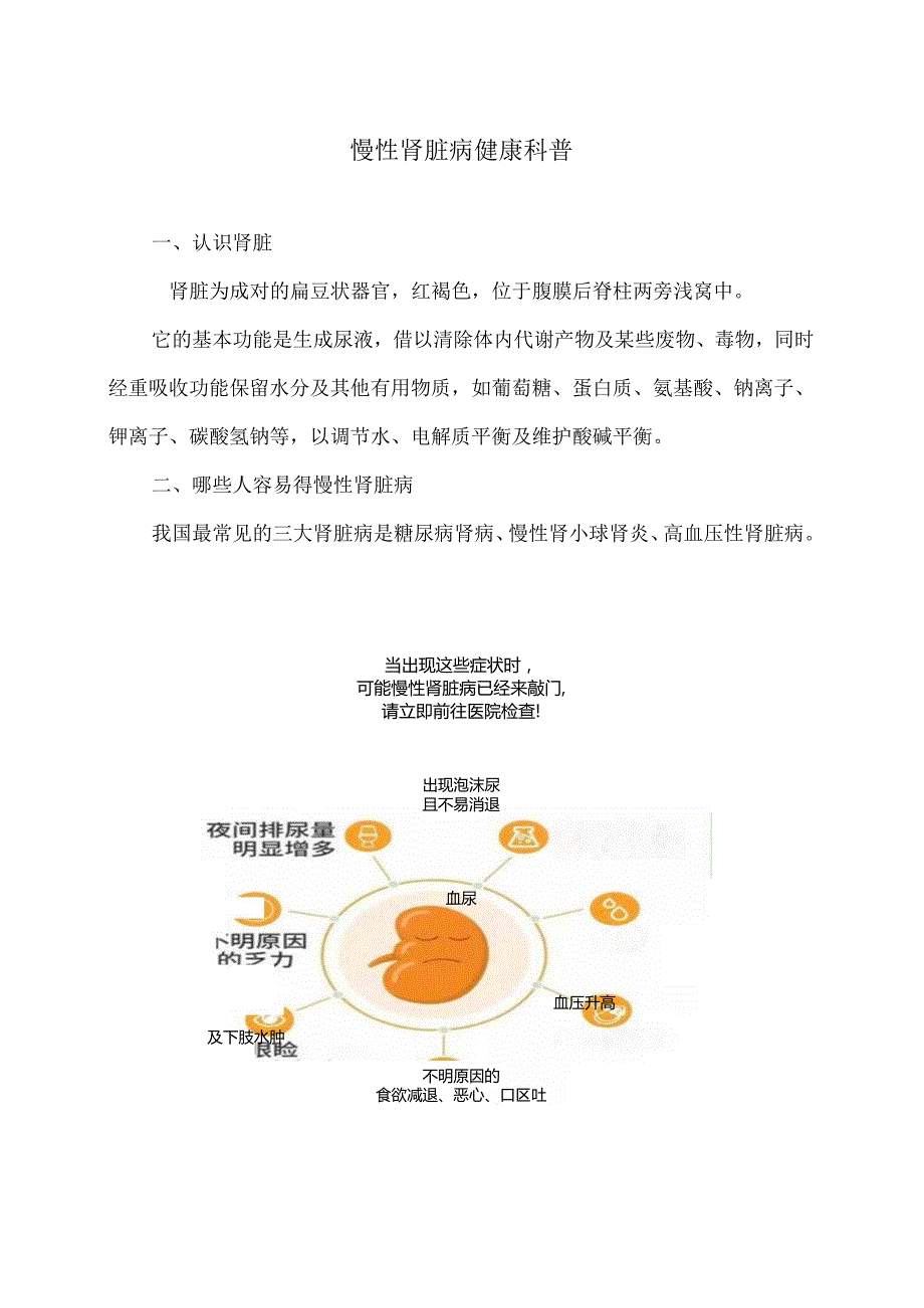 慢性肾脏病健康科普（2024年）.docx_第1页