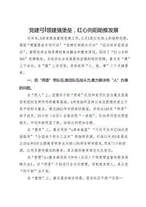 经验做法：党建引领建强堡垒红心向阳助推发展.docx