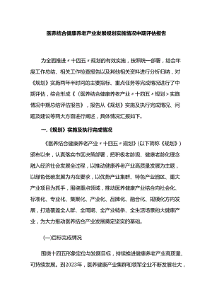 医养结合健康养老产业发展规划实施情况中期评估报告.docx