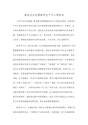 国有企业发展新质生产力心得体会.docx