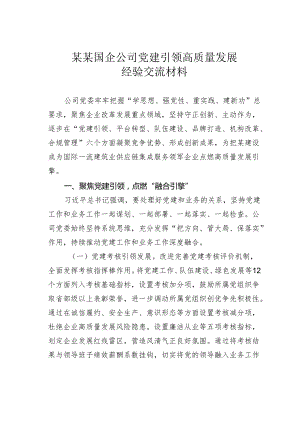 某某国企公司党建引领高质量发展经验交流材料.docx