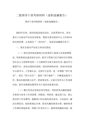 二篇领导干部考核材料（述职述廉报告）.docx