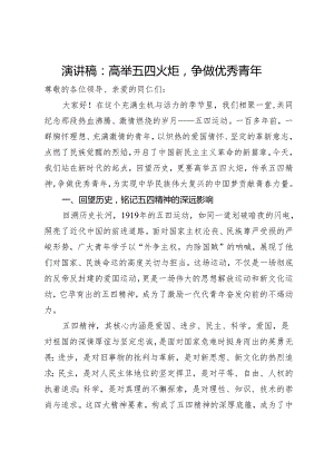 演讲稿：高举五四火炬争做优秀青年.docx