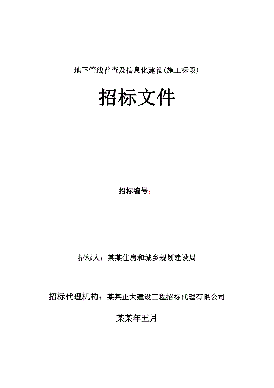 地下管线普查及信息化建设(施工标段)招标文件.doc_第1页