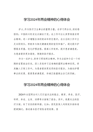 医生党员2024年两会精神的学习心得感悟十篇.docx