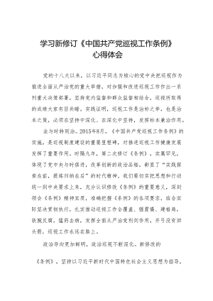 学习2024版新修订《中国共产党巡视工作条例》心得体会(五篇).docx