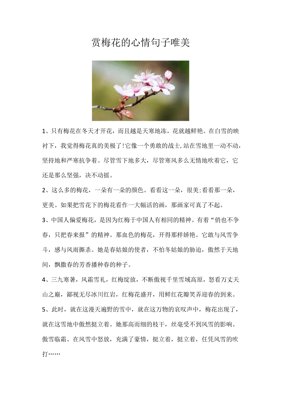 赏梅花的心情句子唯美.docx_第1页