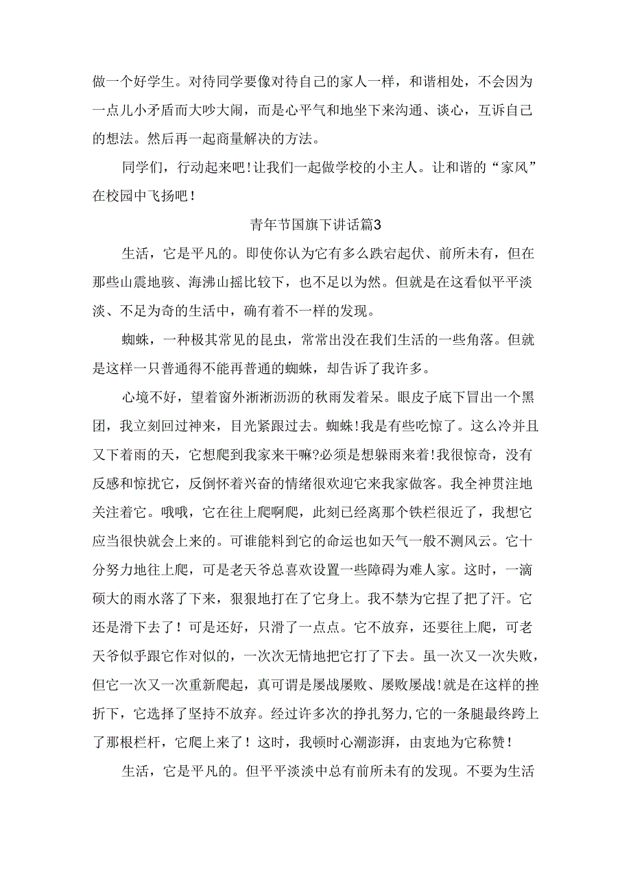 青年节国旗下讲话（通用5篇）.docx_第3页