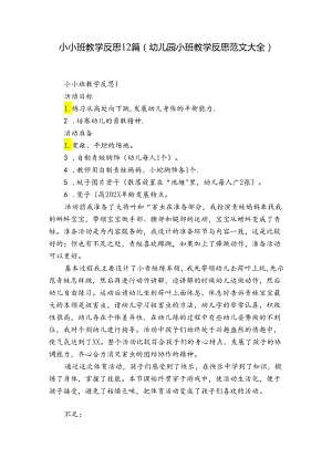 小小班教学反思12篇(幼儿园小班教学反思范文大全).docx