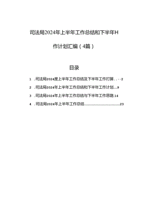 司法局2024年上半年工作总结和下半年工作计划汇编（4篇）.docx