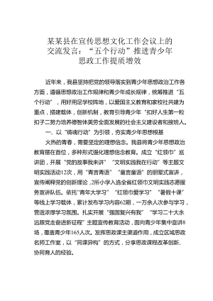 某某县在宣传思想文化工作会议上的交流发言：“五个行动”推进青少年思政工作提质增效.docx