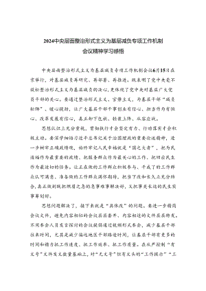 中央层面整治形式主义为基层减负专项工作机制会议精神学习感悟6篇供参考.docx