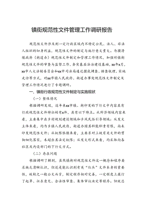 镇街规范性文件管理工作调研报告.docx