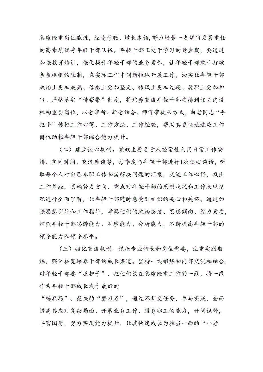 年轻干部培养计划的实施方案（2285字）.docx_第2页