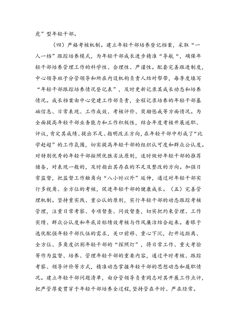 年轻干部培养计划的实施方案（2285字）.docx_第3页