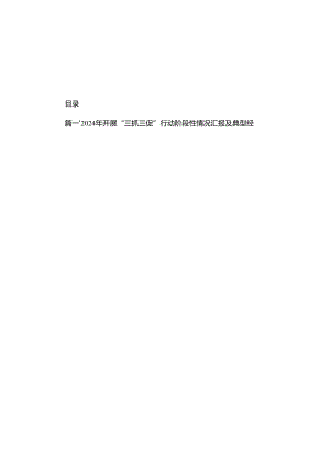 2024年开展“三抓三促”行动阶段性情况汇报及典型经验做法（共8篇）.docx