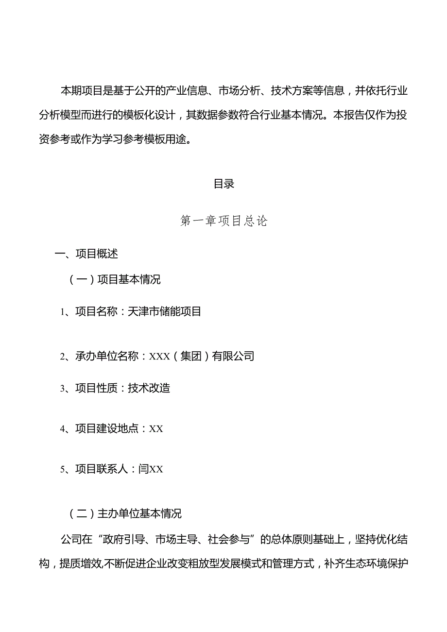 天津市储能项目可行性分析报告.docx_第3页