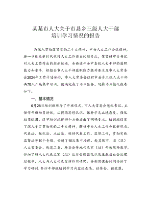 某某市人大关于市县乡三级人大干部培训学习情况的报告.docx