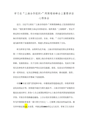 学习在“上海合作组织+”阿斯塔纳峰会上重要讲话心得体会.docx