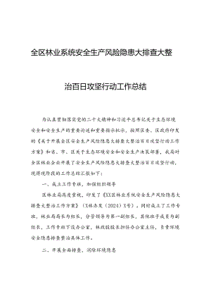 全区林业系统安全生产风险隐患大排查大整治百日攻坚行动工作总结.docx