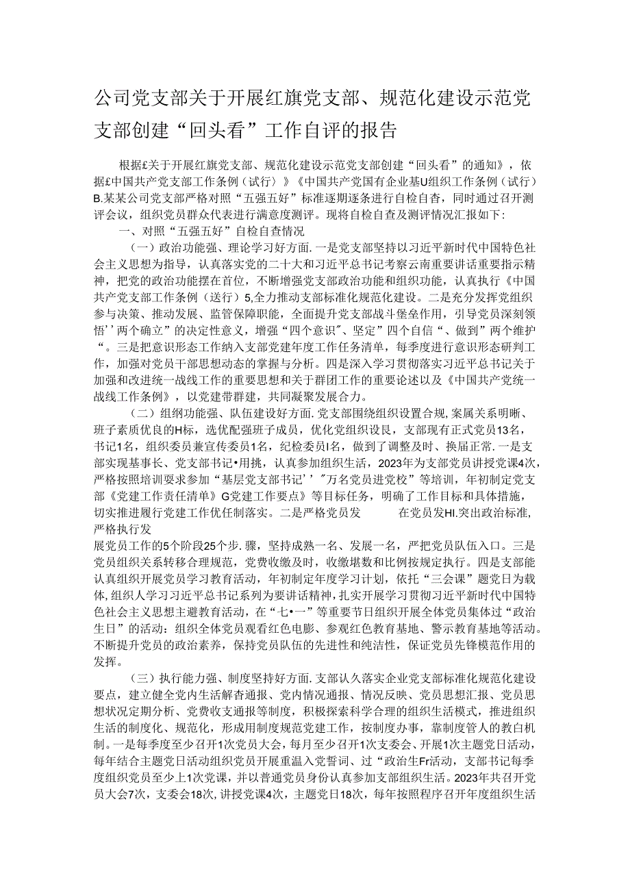 公司党支部关于开展红旗党支部、规范化建设示范党支部创建“回头看”工作自评的报告.docx_第1页