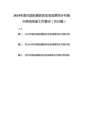 2024年度巩固拓展脱贫攻坚成果同乡村振兴有效衔接工作要点12篇（精选）.docx