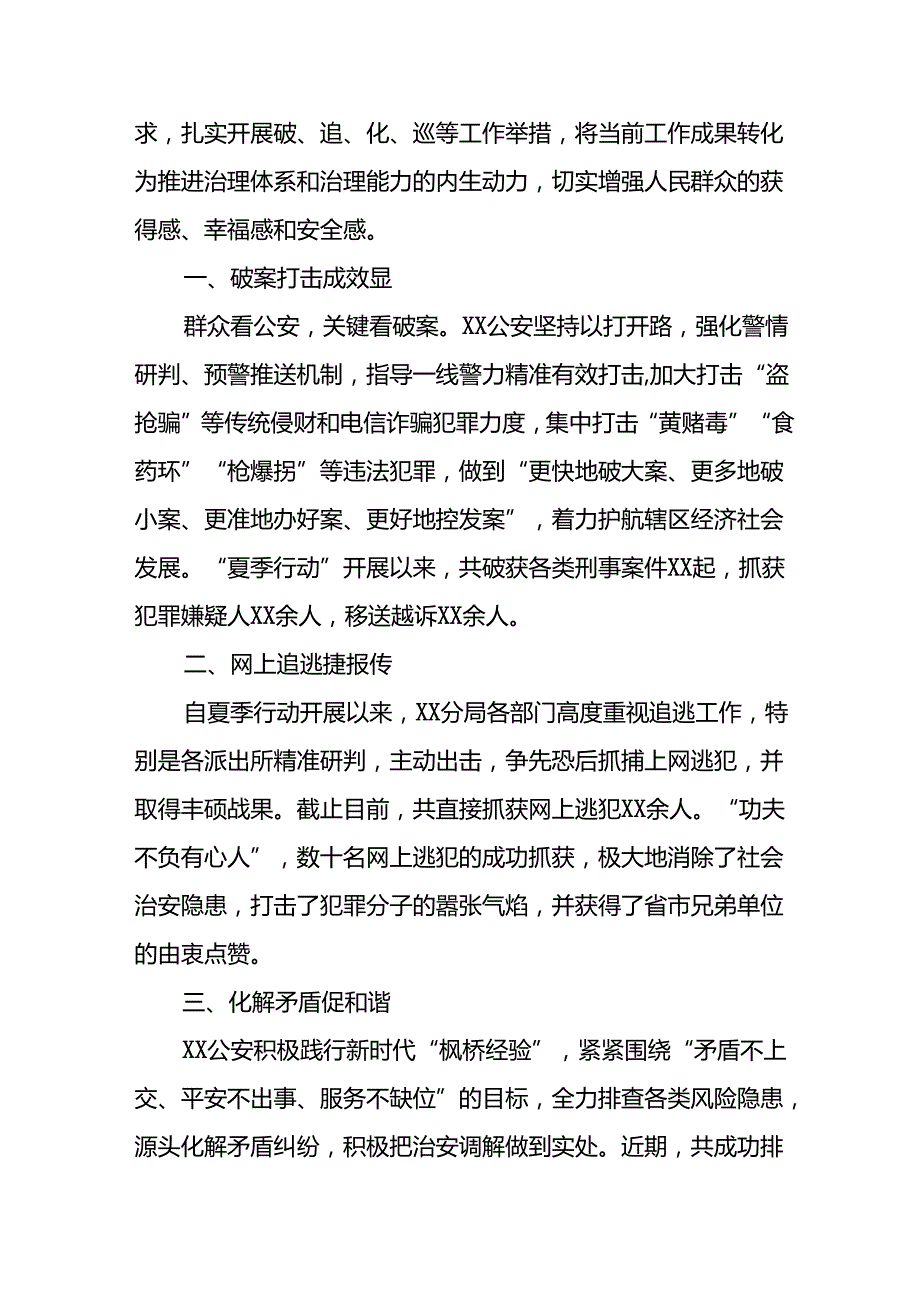 二十八篇2024年夏季治安打击整治专项行动工作总结.docx_第3页