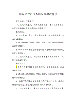 预算管理审计查出问题整改建议.docx