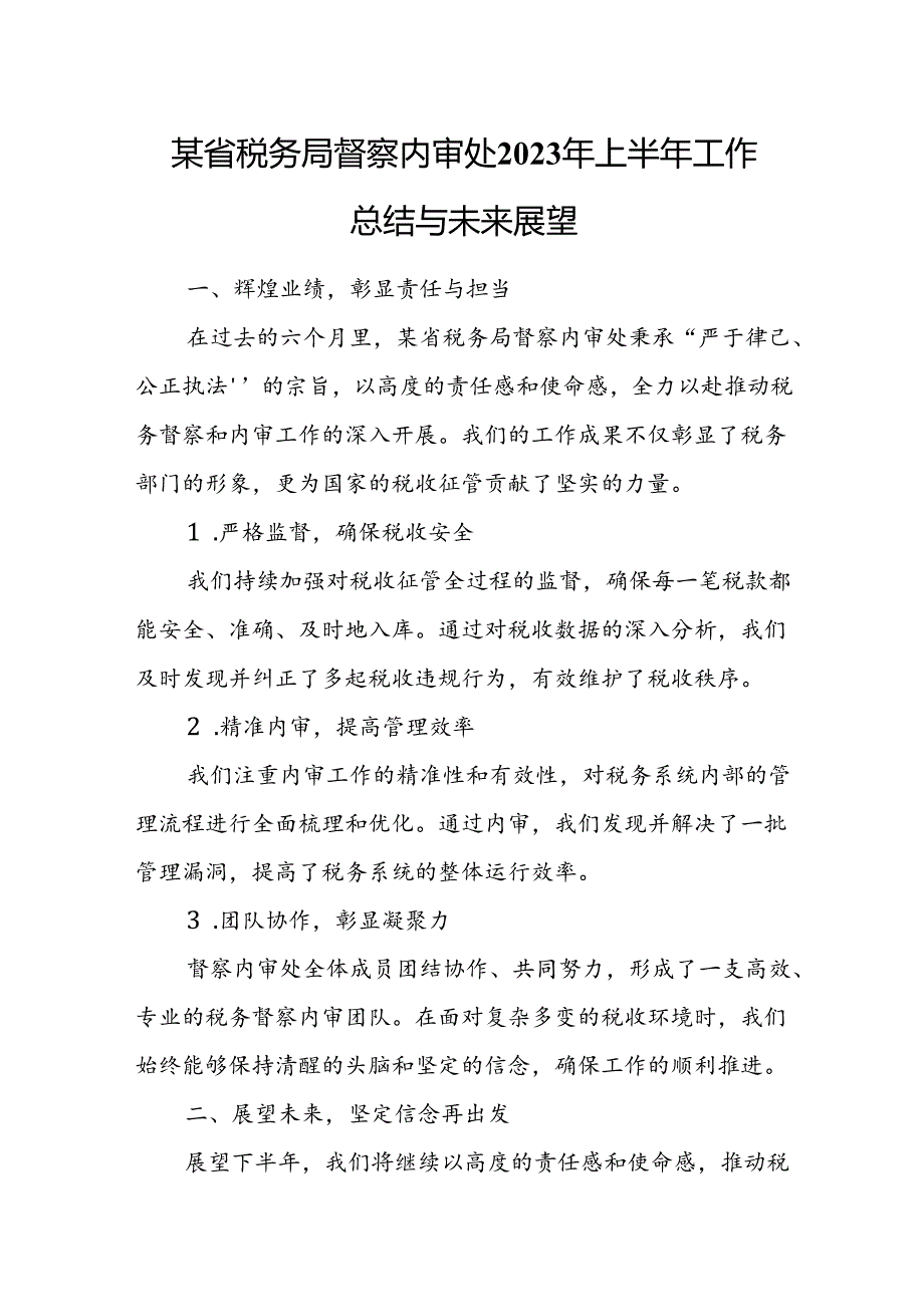 某省税务局督察内审处2023年上半年工作总结与未来展望.docx_第1页