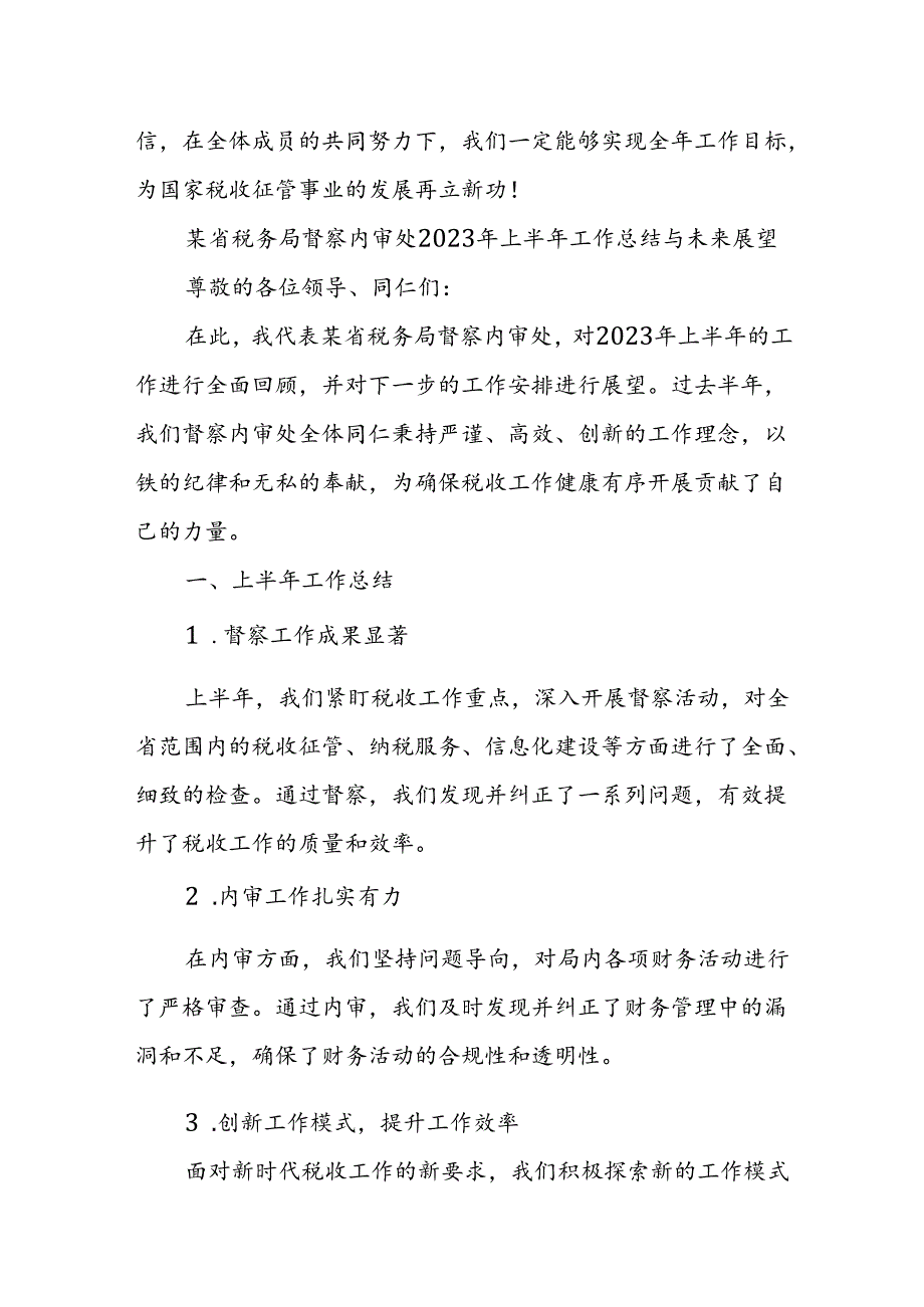 某省税务局督察内审处2023年上半年工作总结与未来展望.docx_第3页