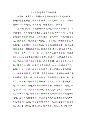 组工队伍建设亮点经验做法.docx