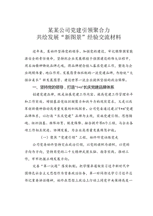 某某公司党建引领聚合力共绘发展“新图景”经验交流材料.docx