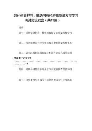 强化使命担当推动国有经济高质量发展学习研讨交流发言13篇（详细版）.docx