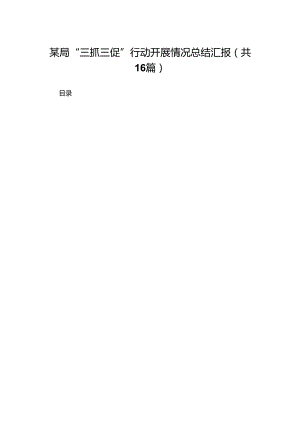 某局“三抓三促”行动开展情况总结汇报16篇供参考.docx