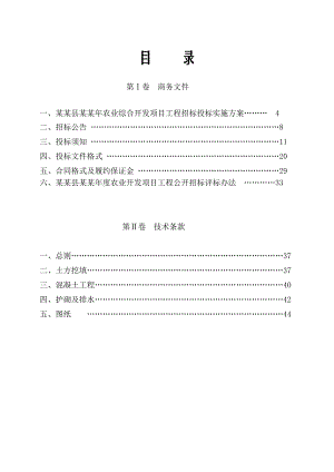 水利水电工程施工项目工程招标投标实施方案.doc