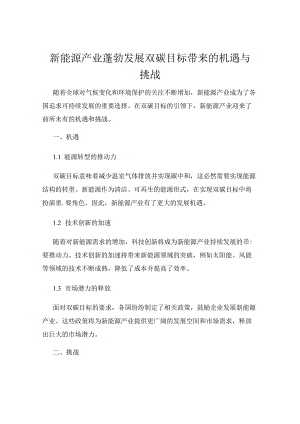 新能源产业蓬勃发展双碳目标带来的机遇与挑战.docx