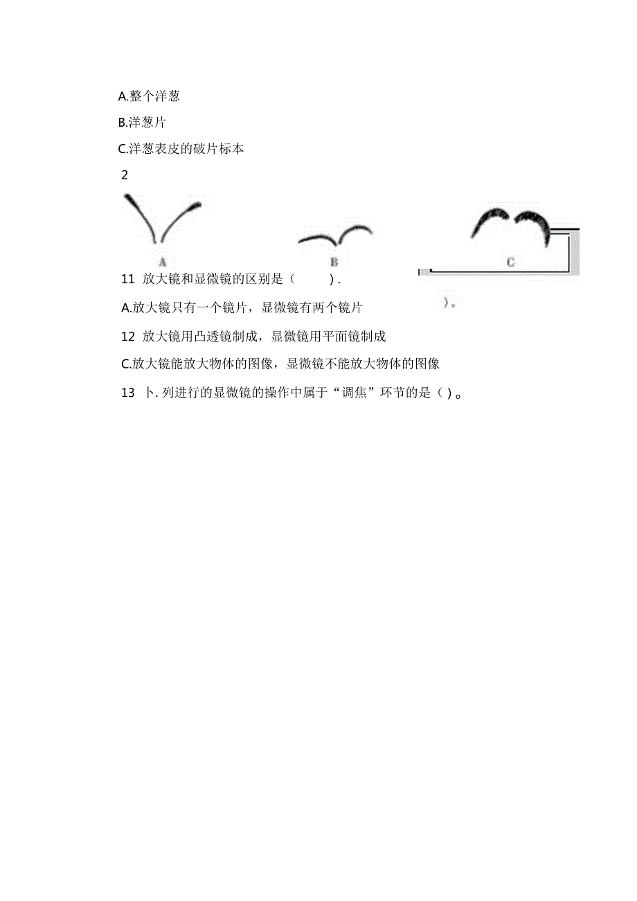 教科版小学六年级科学上册单元测试卷含答案.docx_第2页