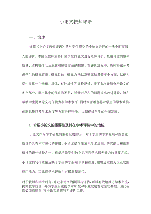 小论文教师评语.docx