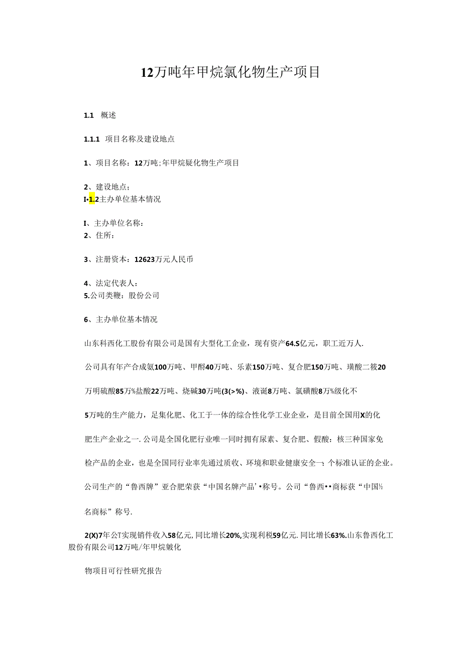 甲烷氯化物生产项目可行性研究报告1.docx_第1页